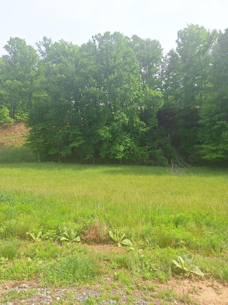 Lot 67 Hillside Property Photo 1