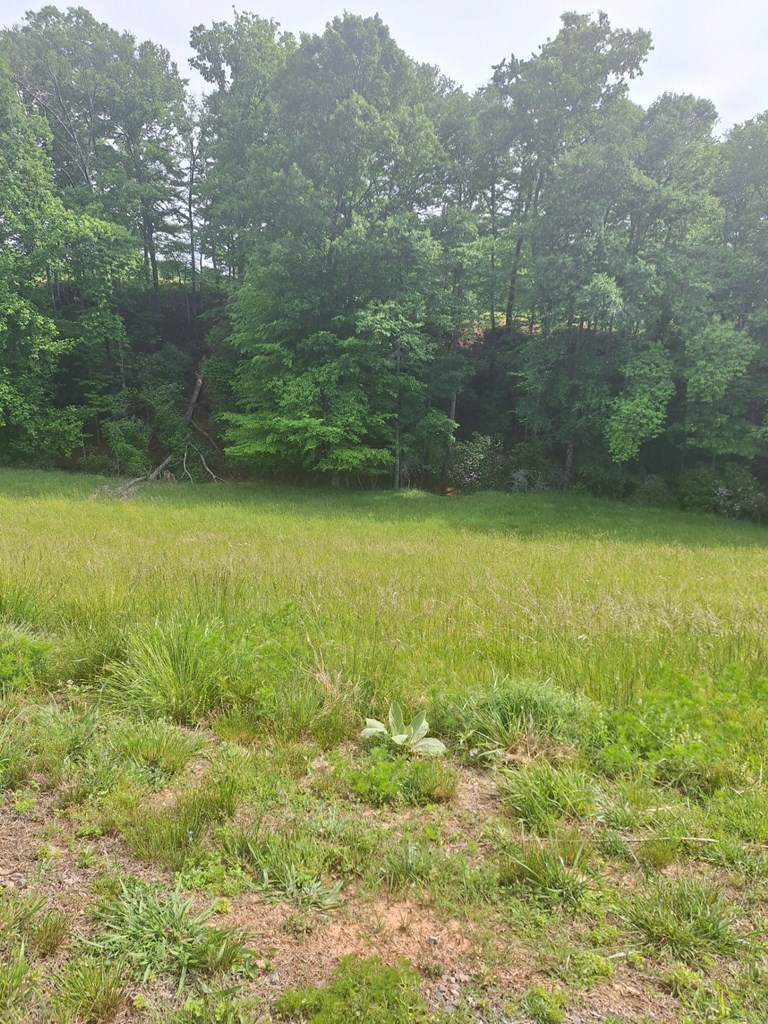 Lot 67 Hillside Property Photo 2