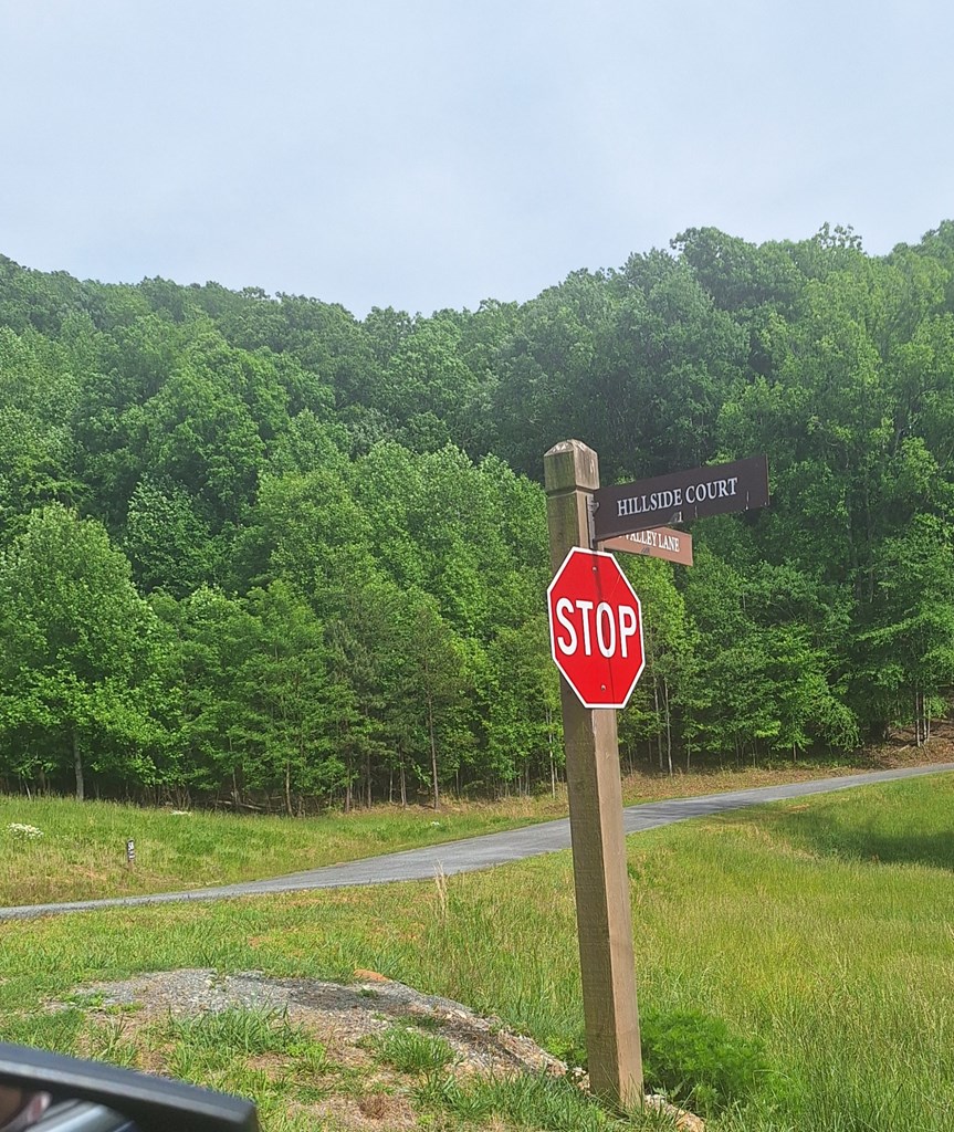 Lot 67 Hillside Property Photo 4