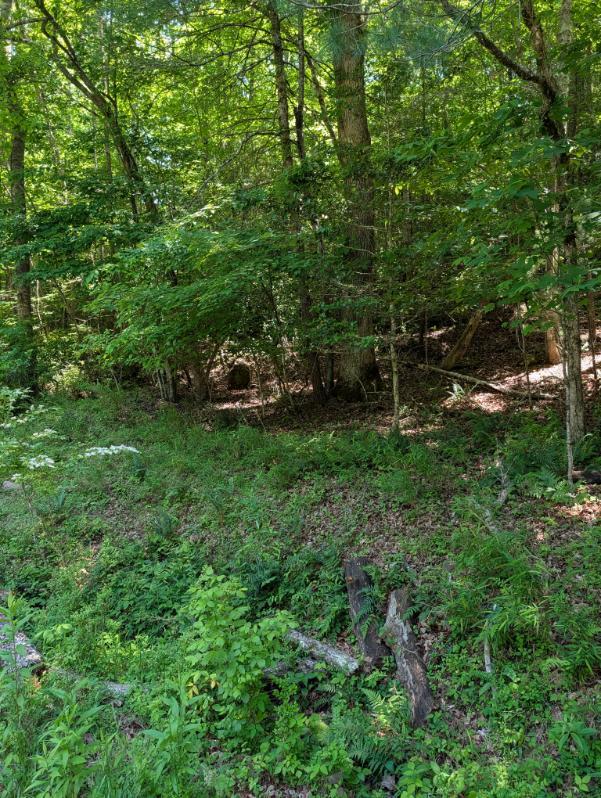 00 Talc Mine Road Property Photo 1