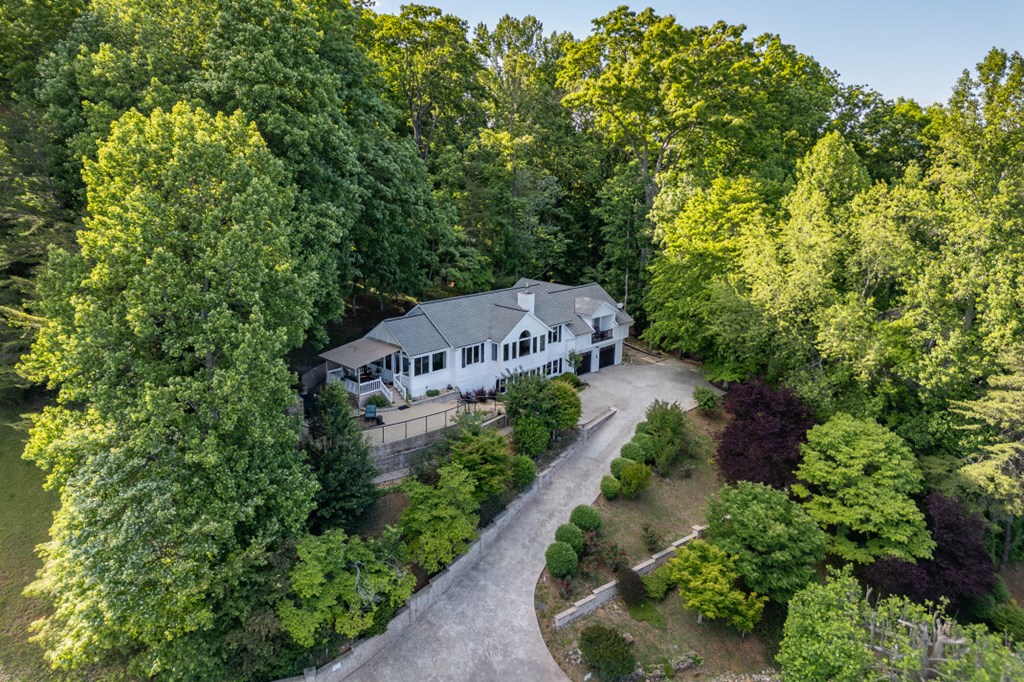 1925 Lakeview Summit Drive Property Photo 60