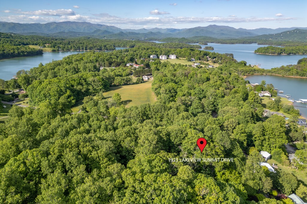 1925 Lakeview Summit Drive Property Photo 66
