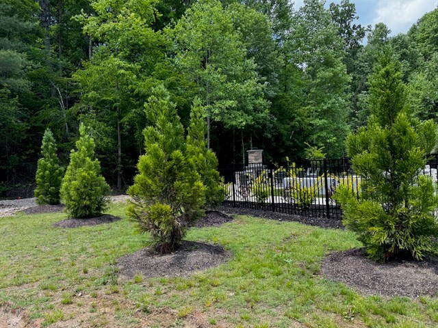 85 Cedar Road Property Photo 24