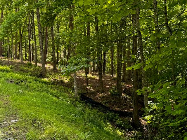 85 Cedar Road Property Photo 26