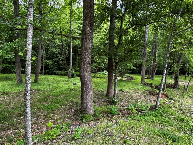 84 Cedar Road Property Photo 17