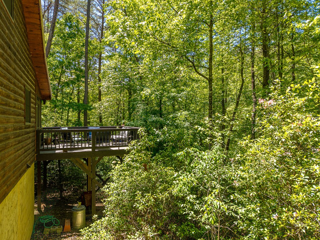 284 The Woods Road Property Photo 47