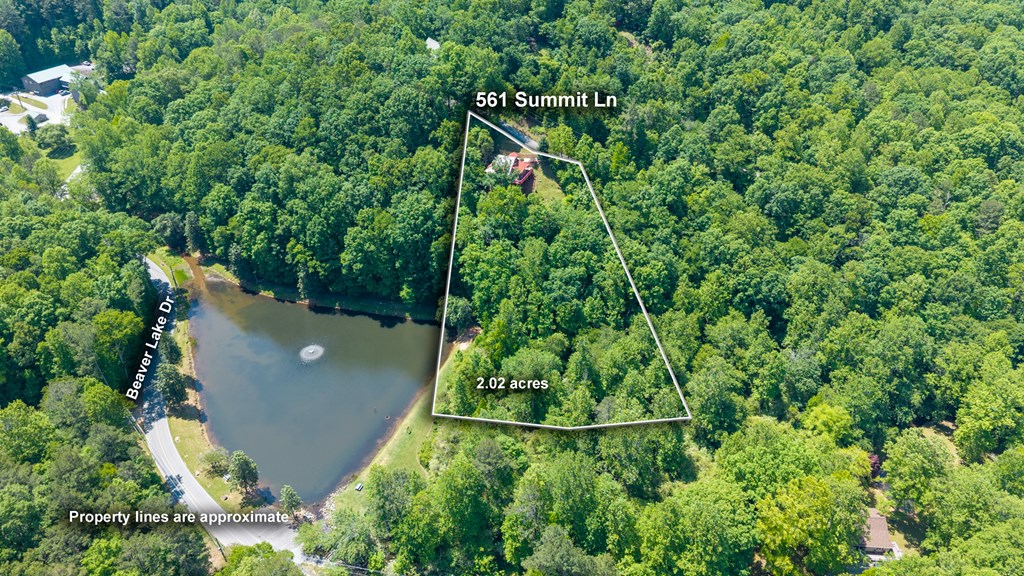 561 Summit Lane Property Photo 42