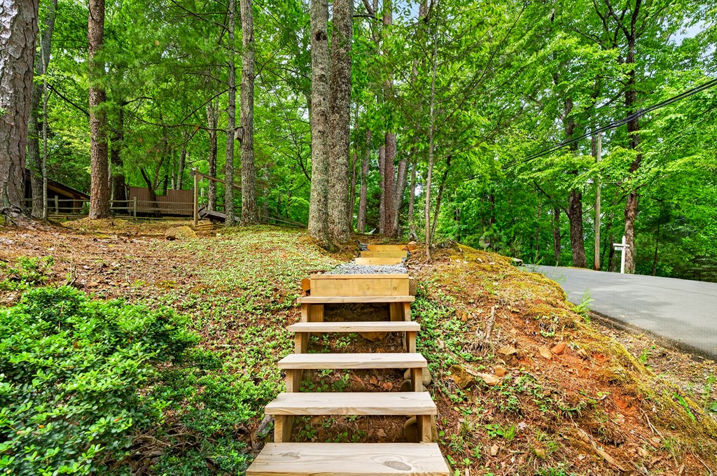 747 Mountain Oak Road Property Photo 46
