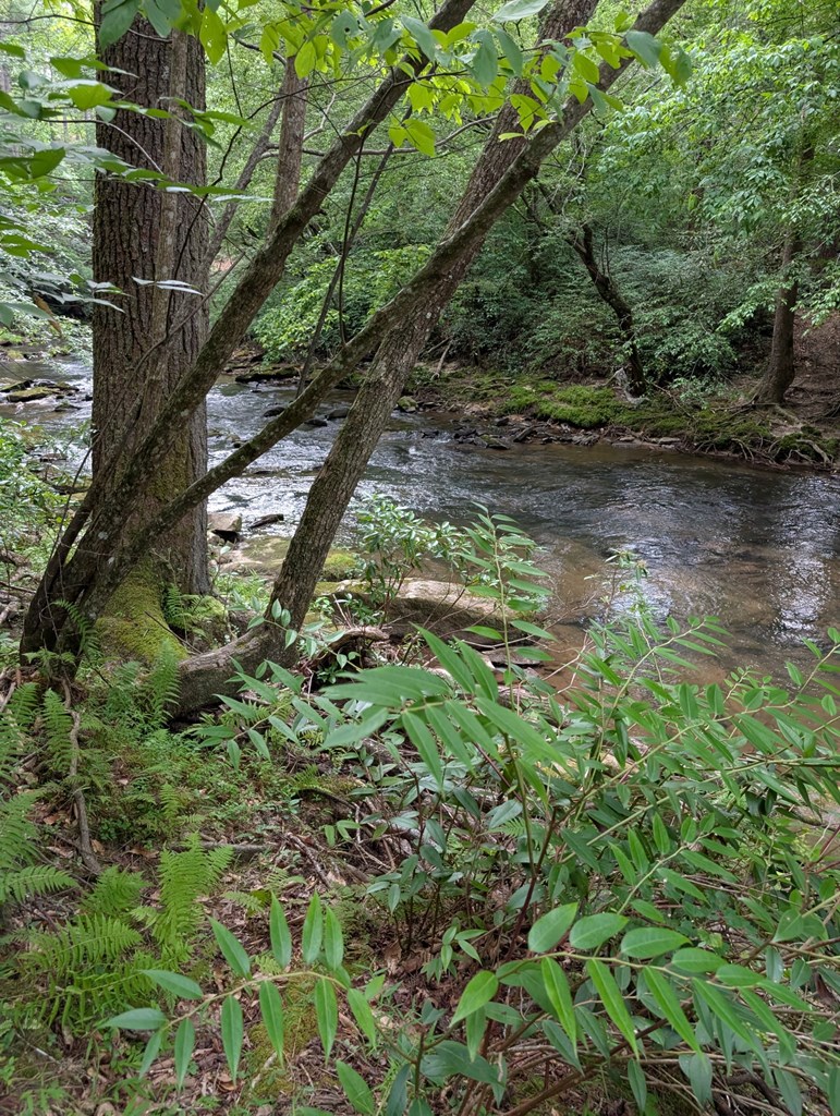 Lot 32 Byers Road Property Photo 6