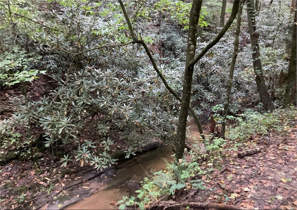 0 Laurel Overlook Road Property Photo 2