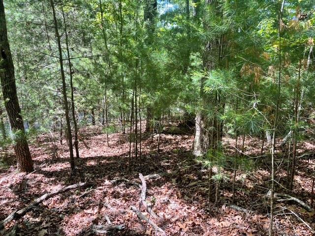 Lot 2 Mount Pleasant Ridge Road Property Photo 1