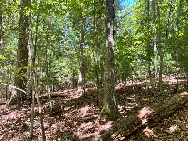 Lot 2 Mount Pleasant Ridge Road Property Photo 3