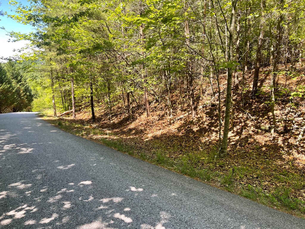 Lot 2 Mount Pleasant Ridge Road Property Photo 6