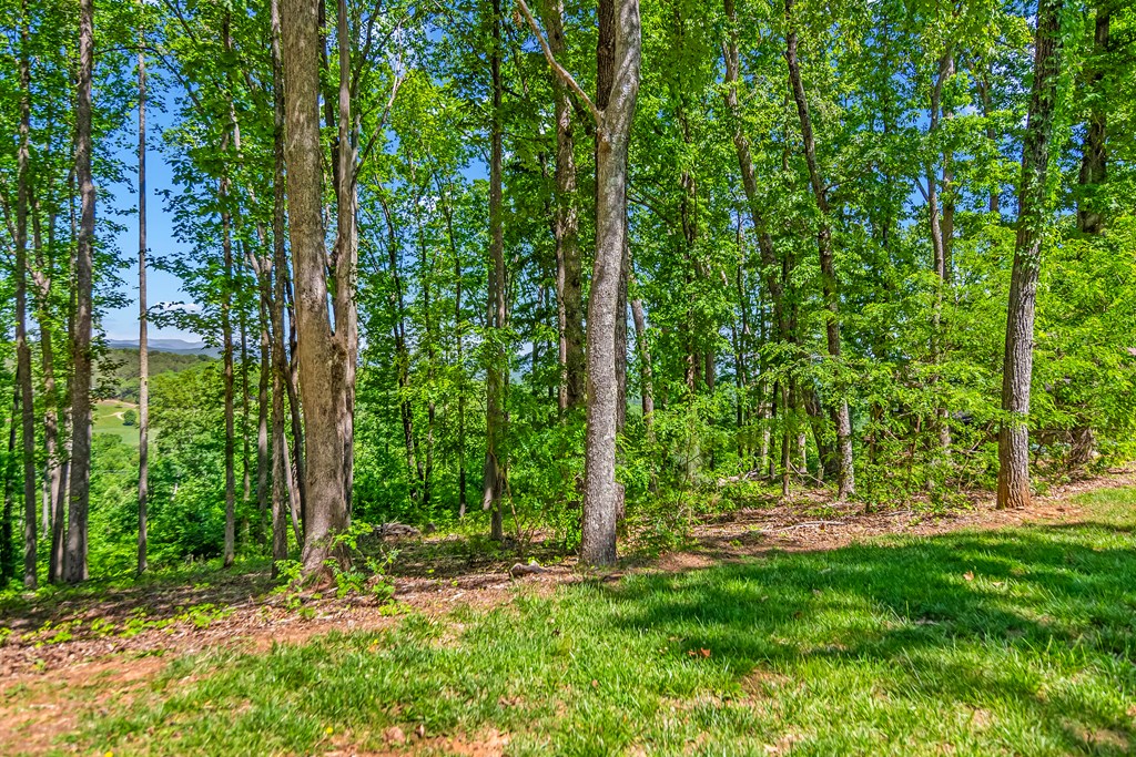 Lot 98 Winding Ridge Property Photo 6