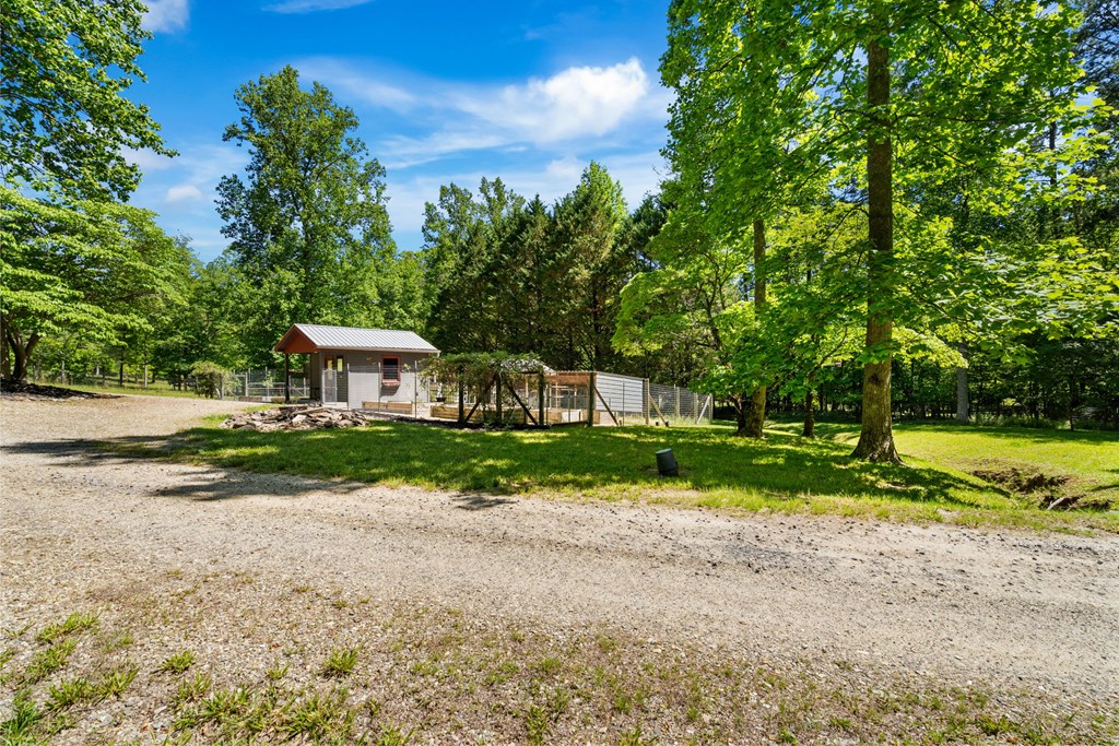 593 Turkey Trot Road Property Photo 85