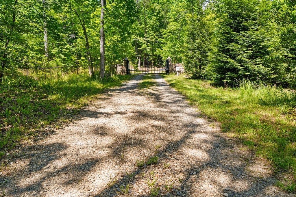 593 Turkey Trot Road Property Photo 91