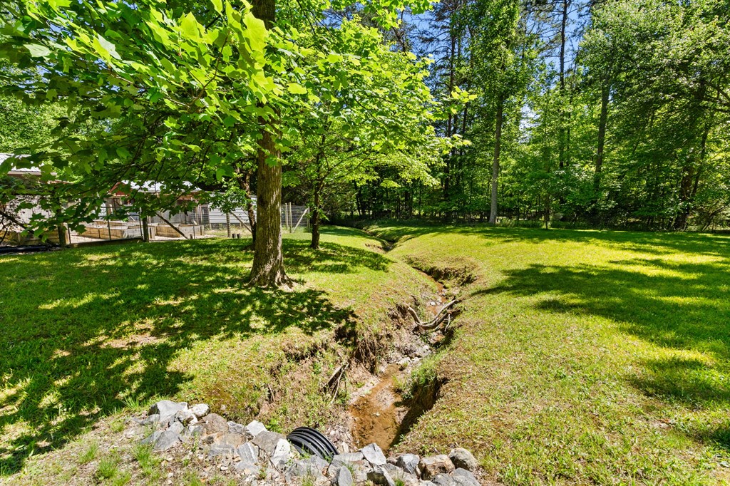 593 Turkey Trot Road Property Photo 93