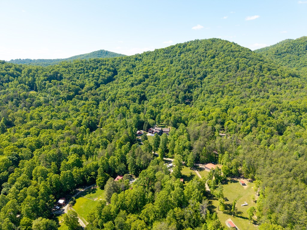 593 Turkey Trot Road Property Photo 100