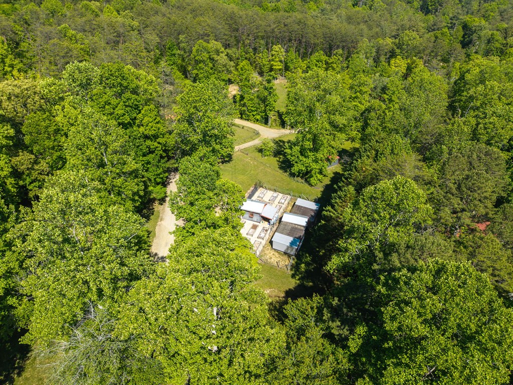 593 Turkey Trot Road Property Photo 102