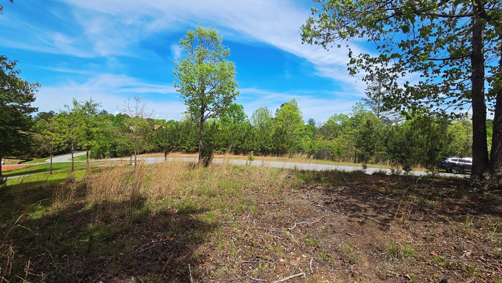 Lot 48 Water Oak Lane Property Photo 6