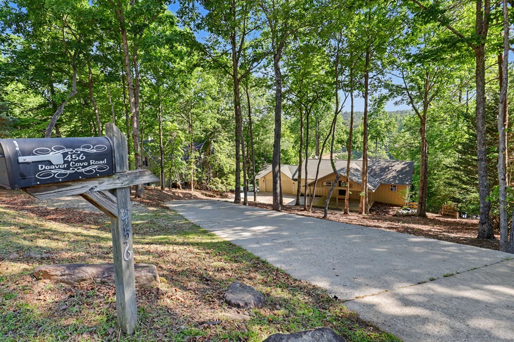 456 Deaver Cove Road Property Photo 46