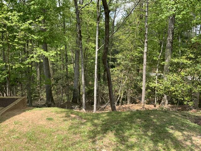 426 Shenendoa Dr. Property Photo 15