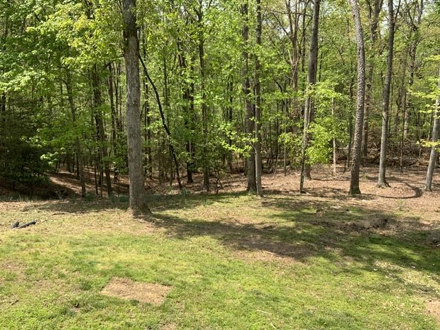 426 Shenendoa Dr. Property Photo 18