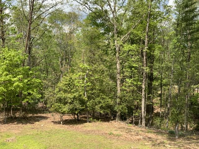 426 Shenendoa Dr. Property Photo 19