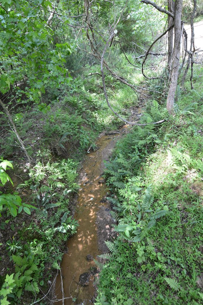 Lot 1 Murphy Hwy (spur 60) Property Photo 15