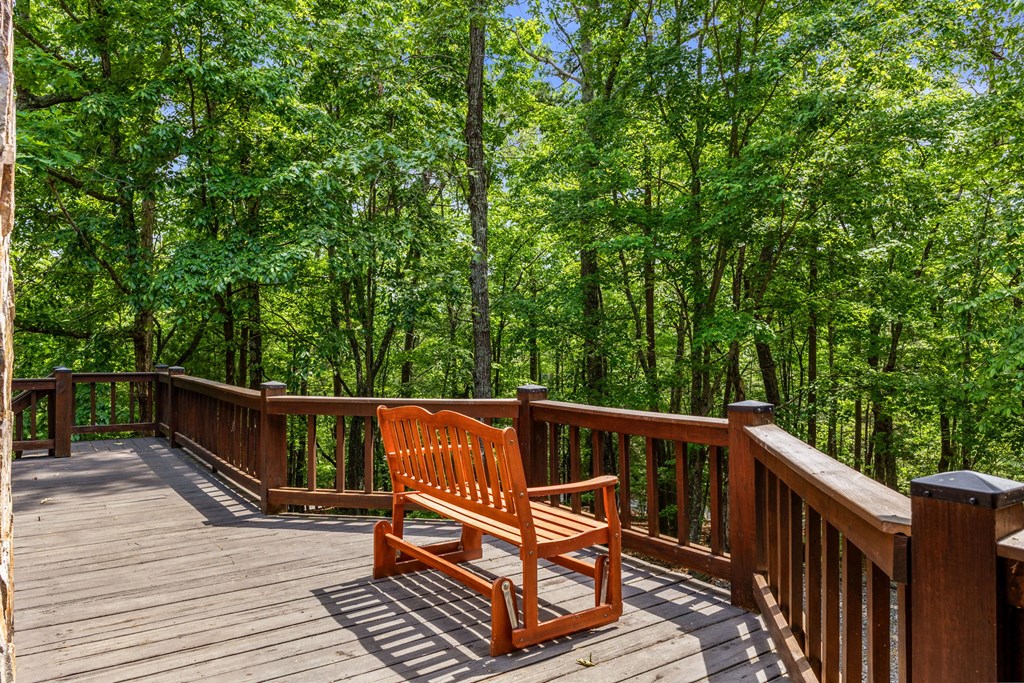 220 Blue Ridge Trails Property Photo 40