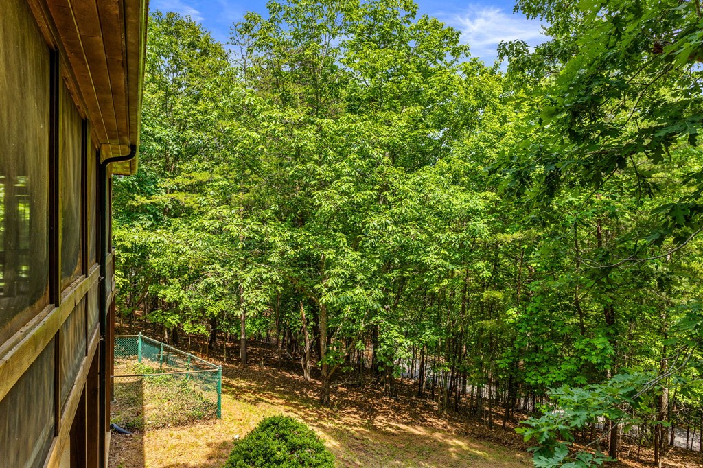 220 Blue Ridge Trails Property Photo 51