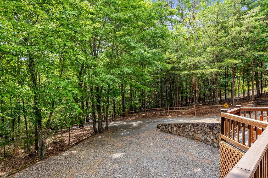 220 Blue Ridge Trails Property Photo 52