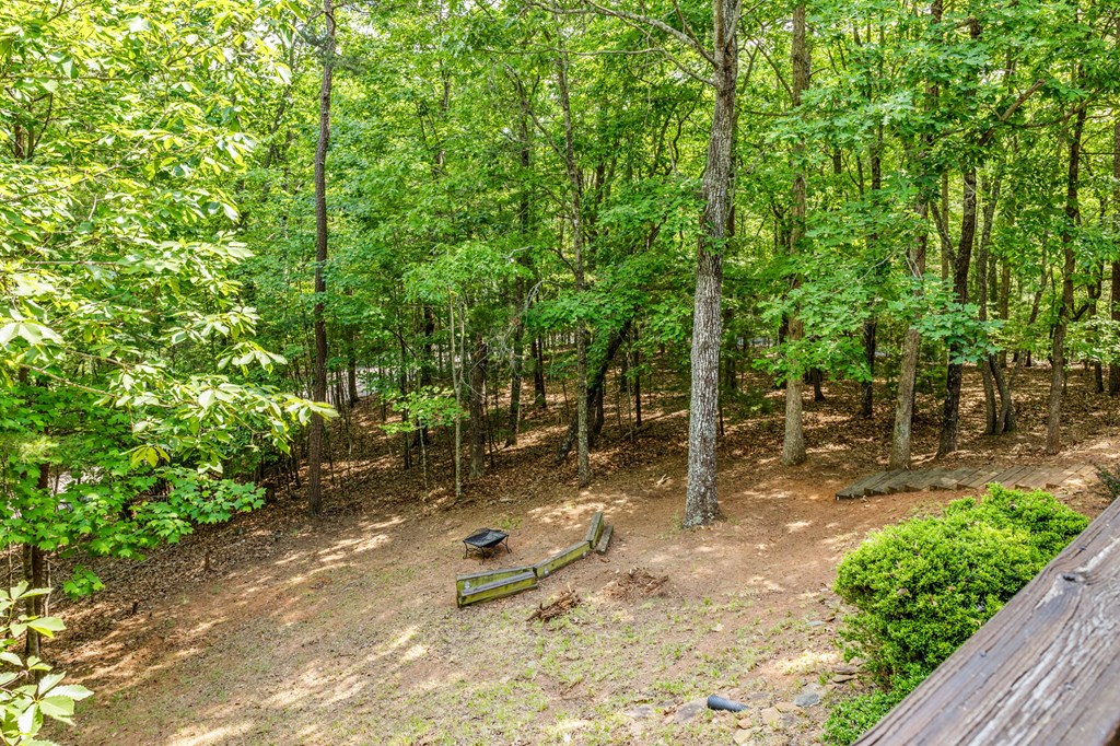 220 Blue Ridge Trails Property Photo 53