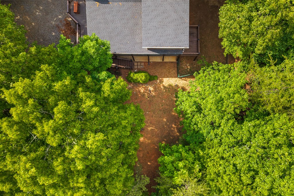 220 Blue Ridge Trails Property Photo 54