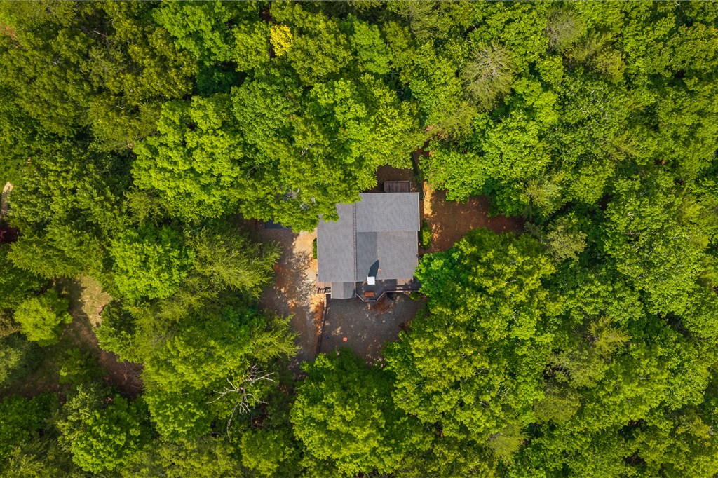 220 Blue Ridge Trails Property Photo 56