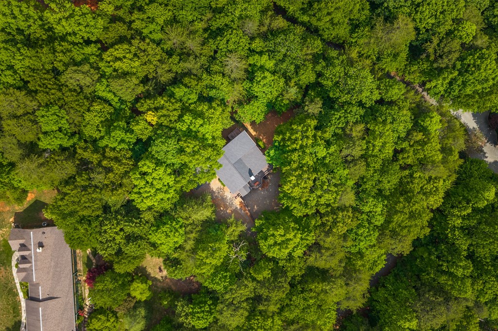 220 Blue Ridge Trails Property Photo 57
