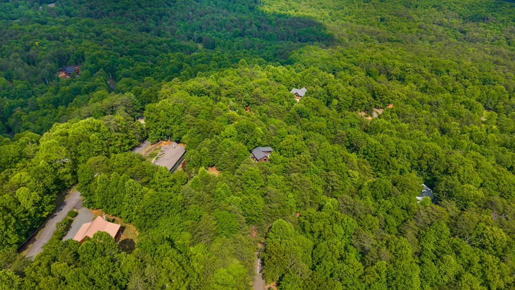 220 Blue Ridge Trails Property Photo 58