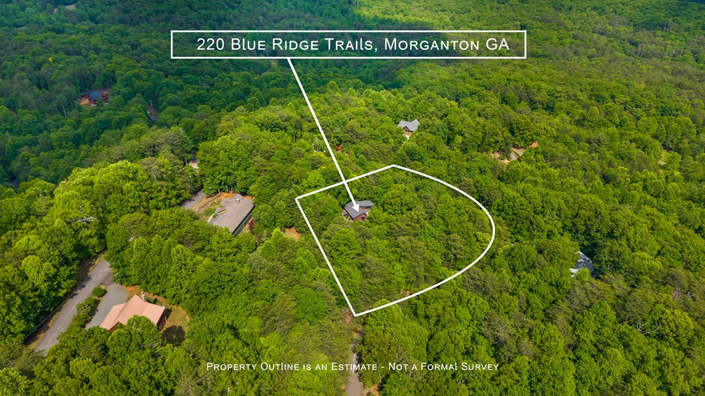 220 Blue Ridge Trails Property Photo 59