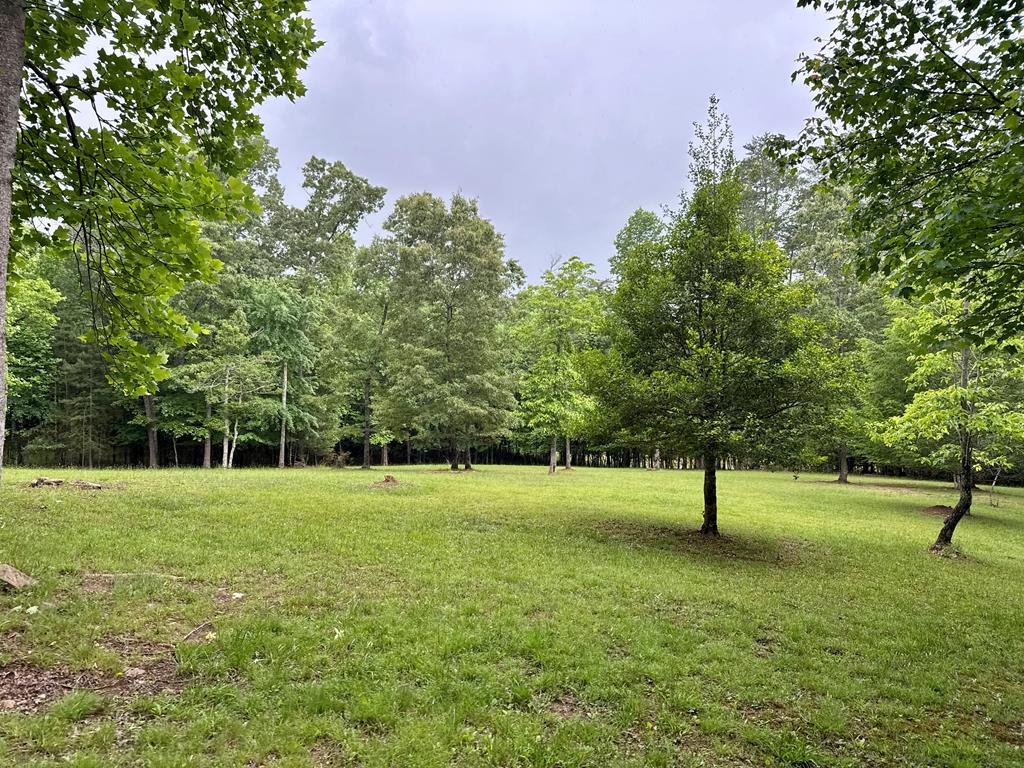28 Rothgeb Ridge Road Property Photo 63