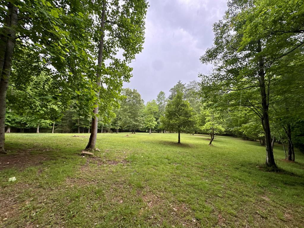 28 Rothgeb Ridge Road Property Photo 65