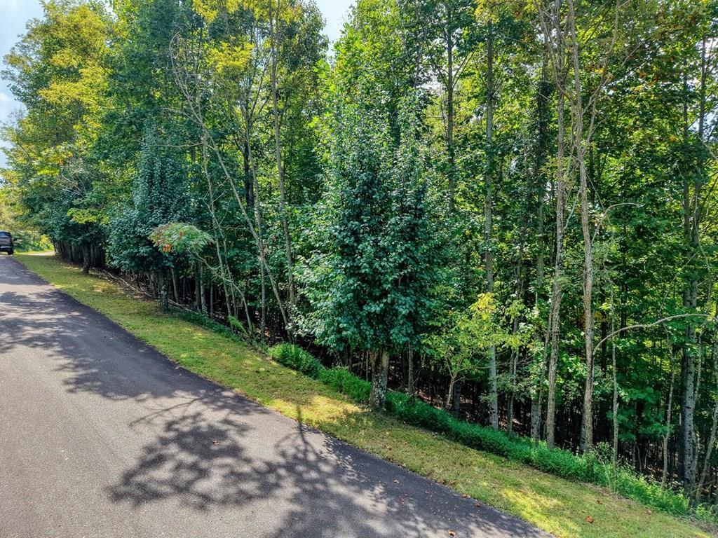 Lot 32 Westside Drive Property Photo 2