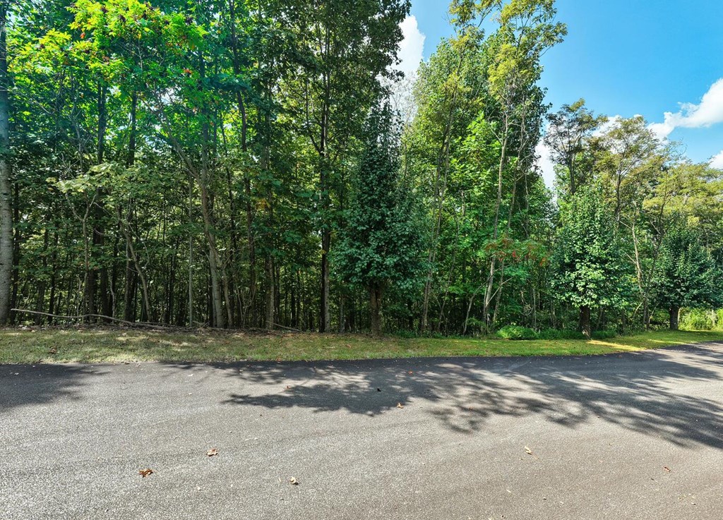 Lot 32 Westside Drive Property Photo 11