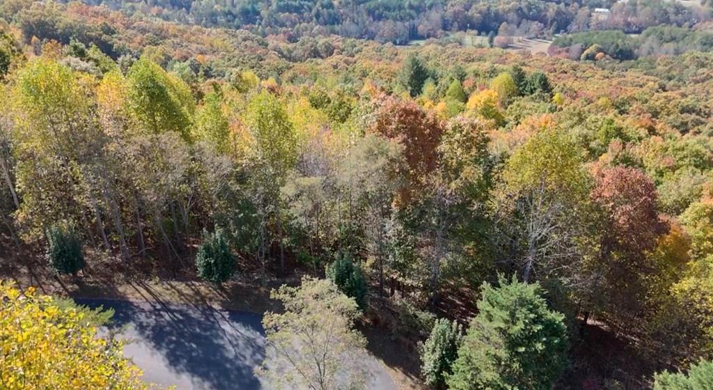 Lot 32 Westside Drive Property Photo 12