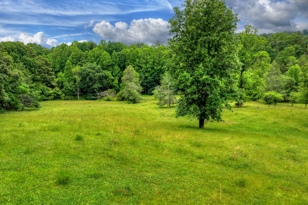 20.11 Ac Mountain View Road Property Photo 7