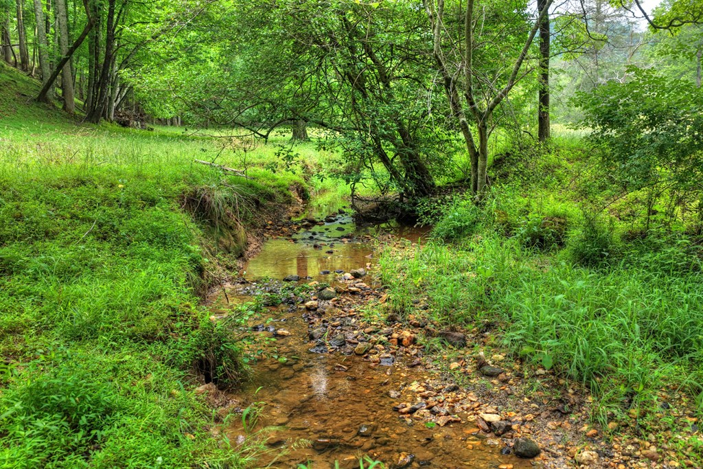 20.11 Ac Mountain View Road Property Photo 11