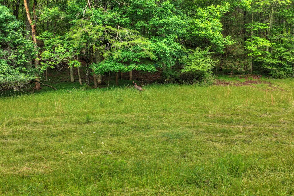 20.11 Ac Mountain View Road Property Photo 12