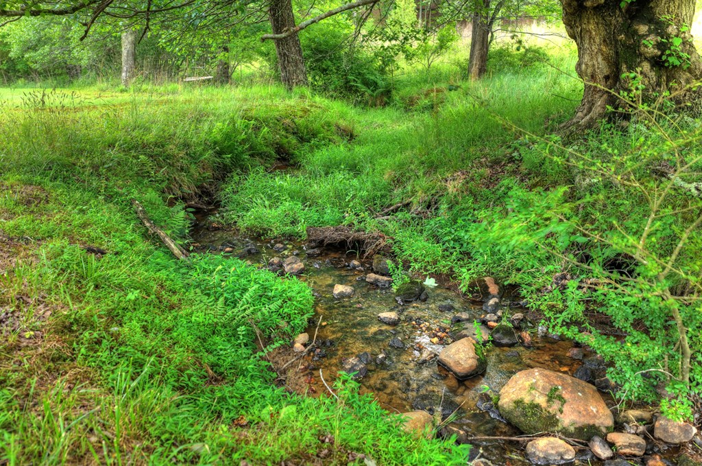 20.11 Ac Mountain View Road Property Photo 17