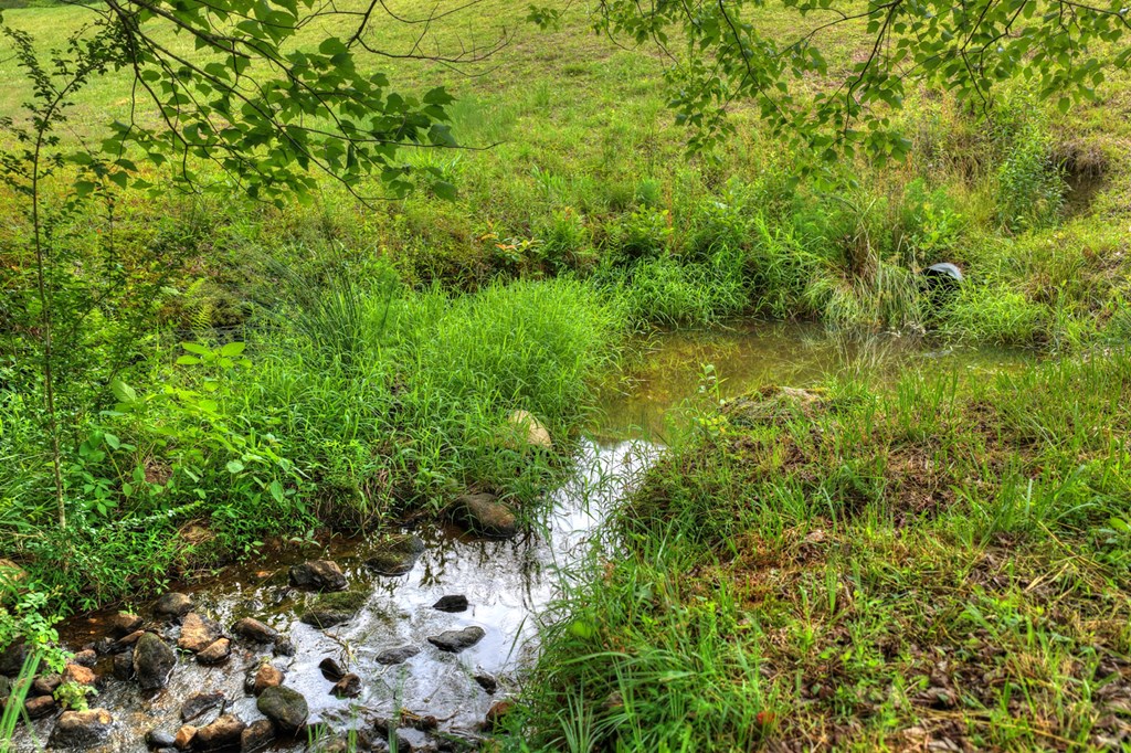 20.11 Ac Mountain View Road Property Photo 18