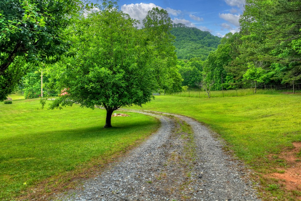 20.11 Ac Mountain View Road Property Photo 24