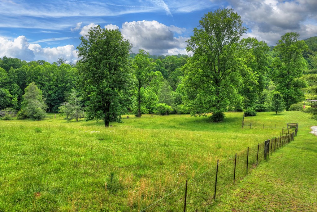 20.11 Ac Mountain View Road Property Photo 25